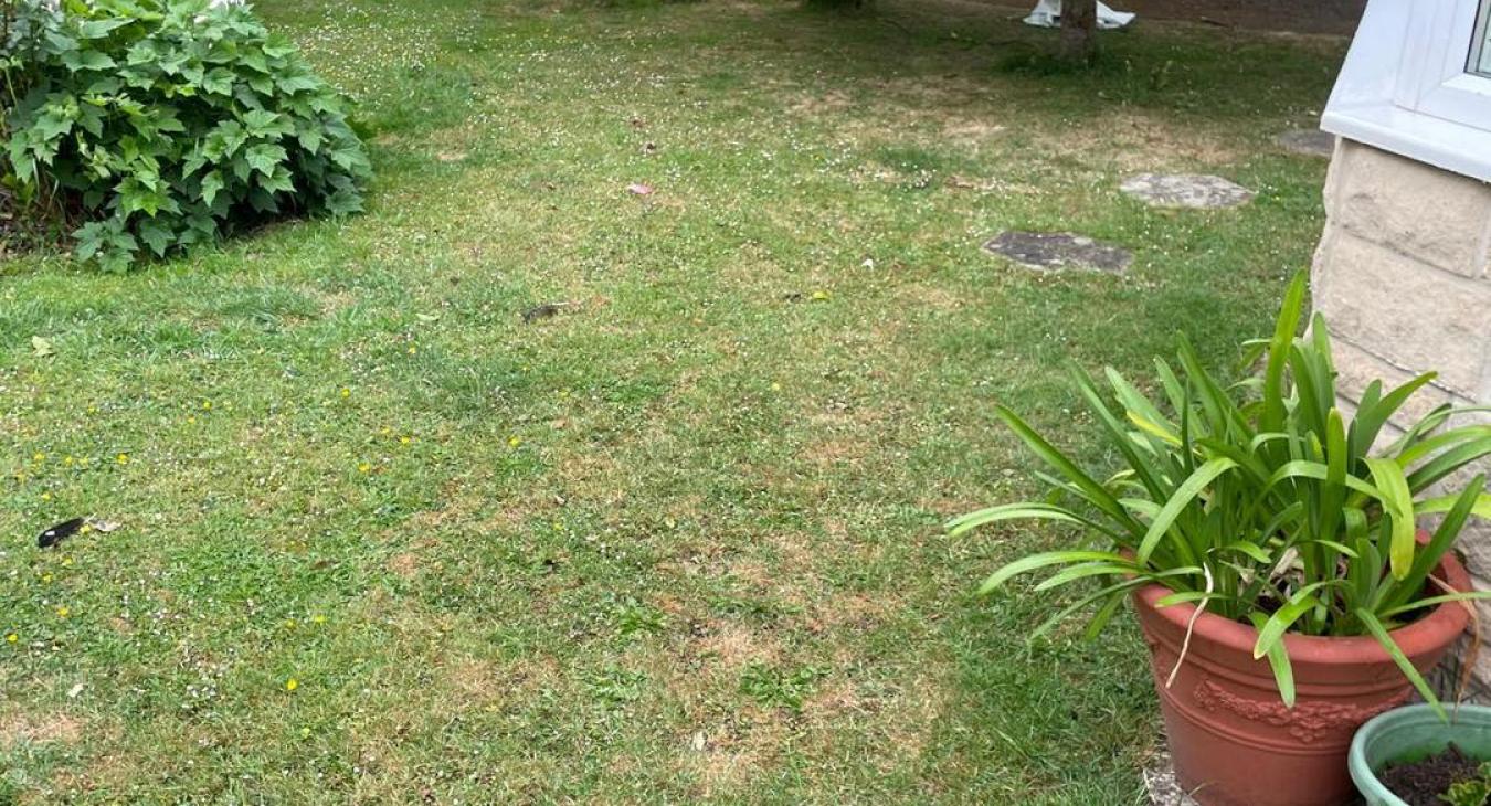 Full Relay, Langport