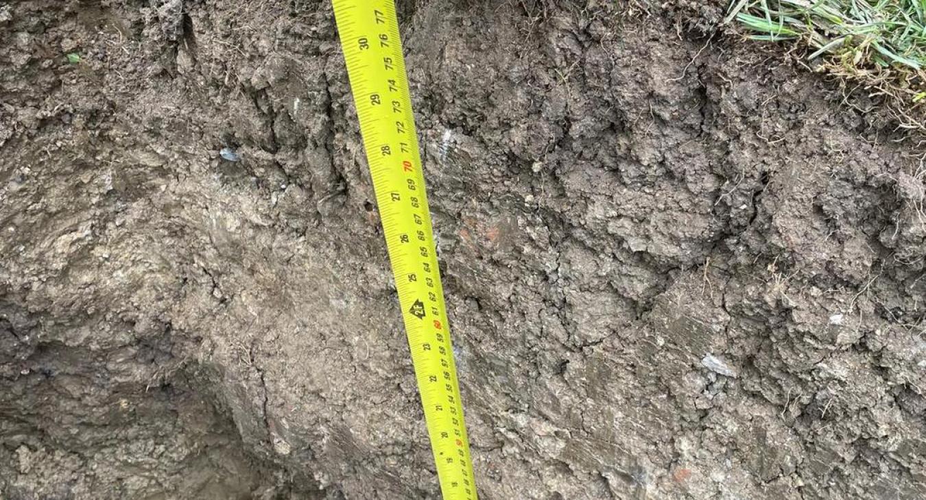 Full Relay, Langport