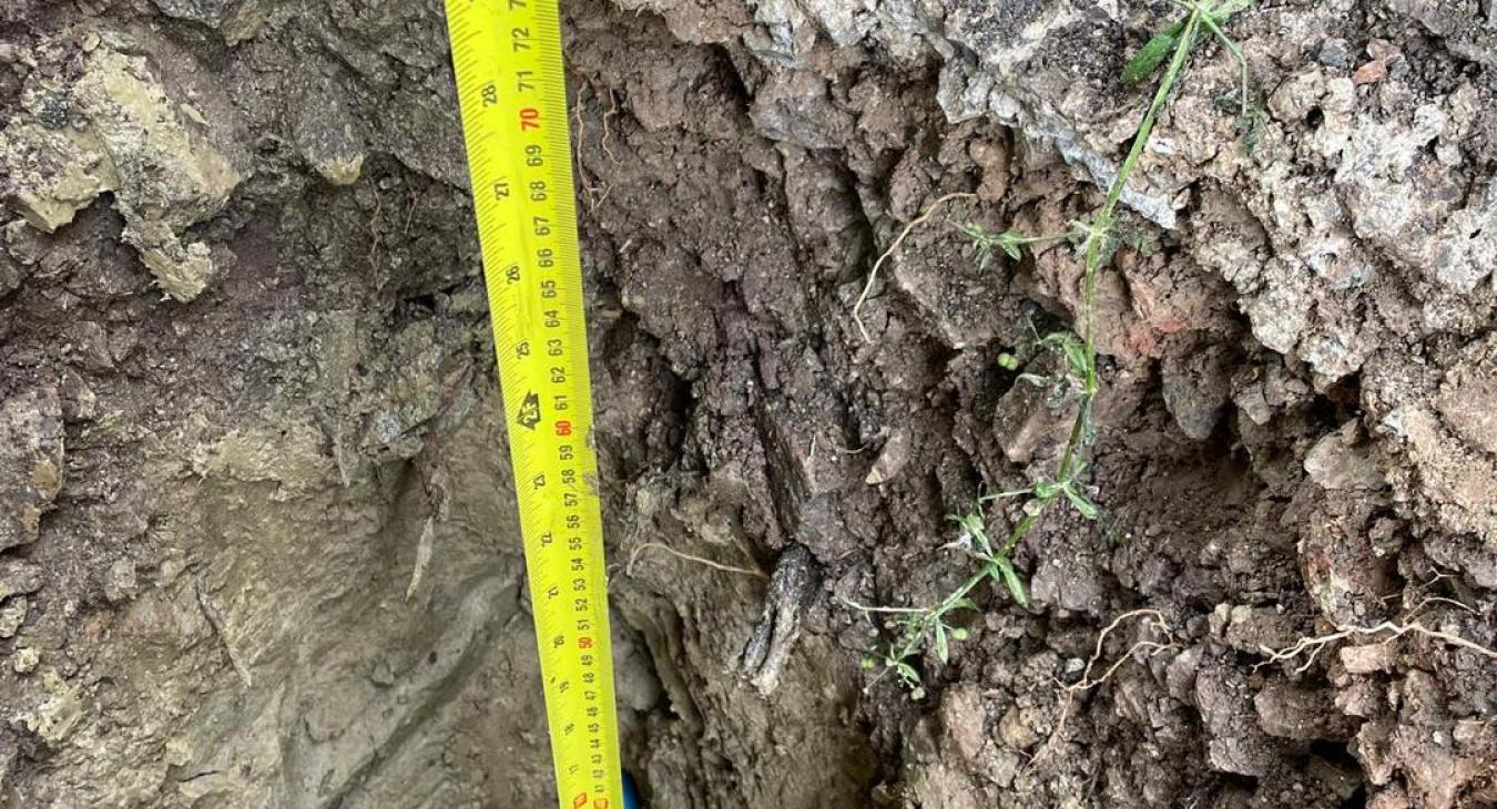 Full Relay, Langport