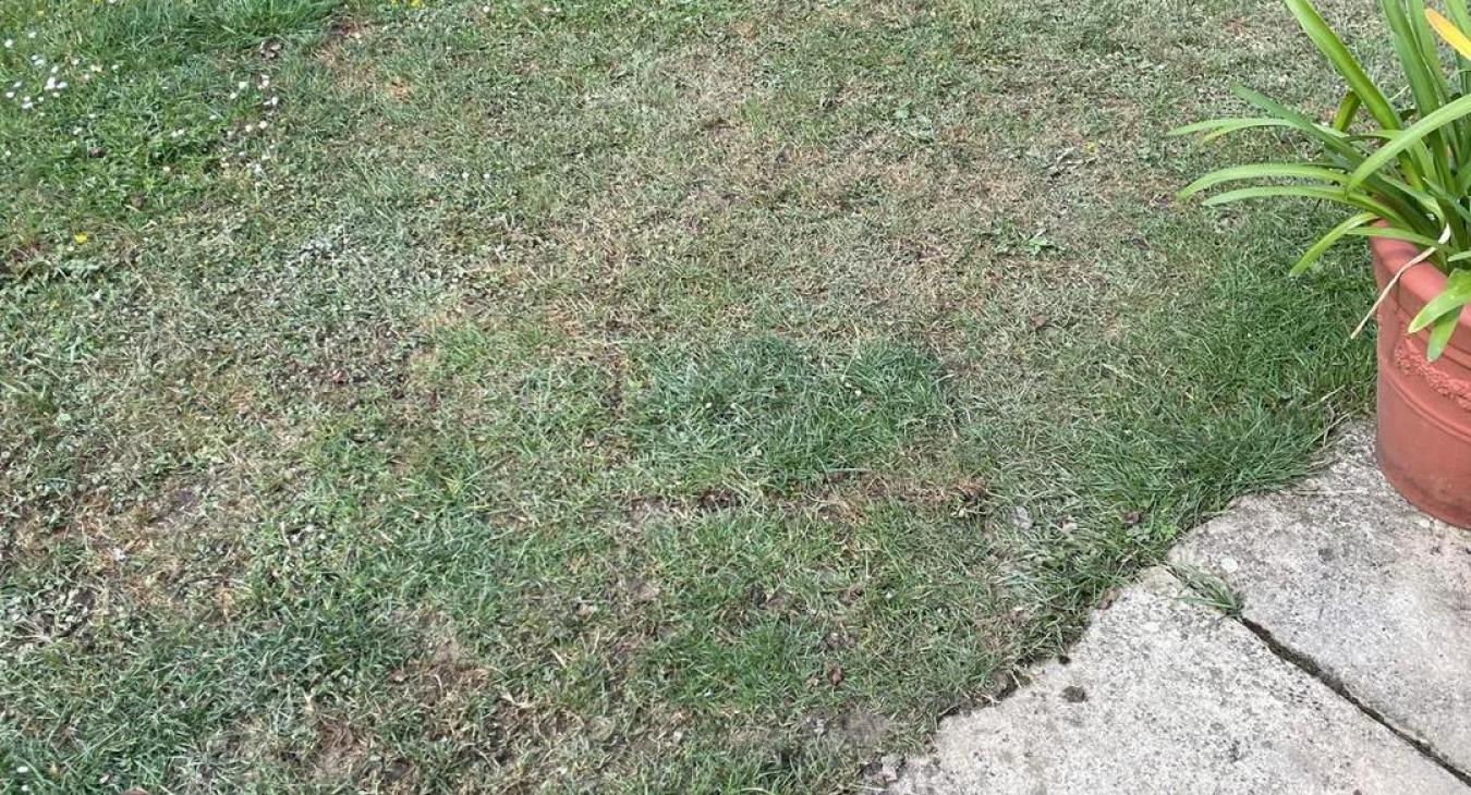 Full Relay, Langport