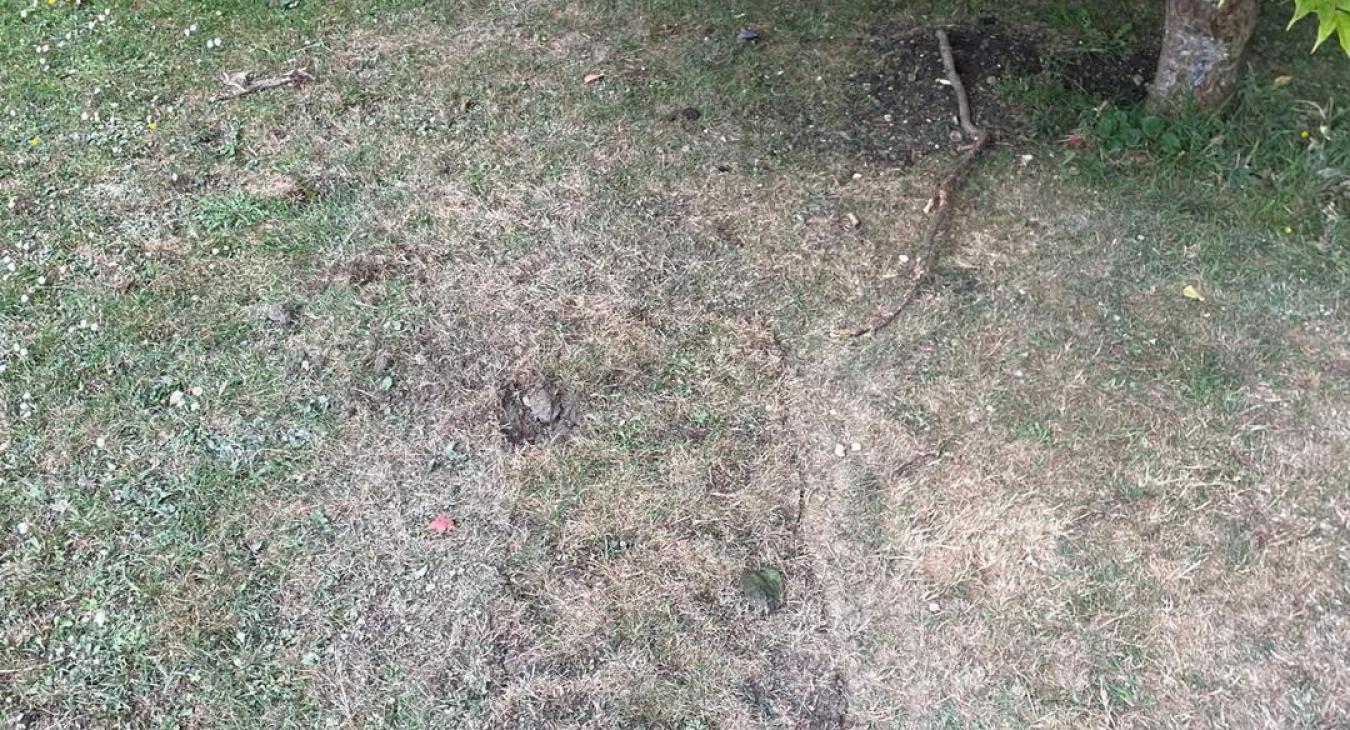 Full Relay, Langport