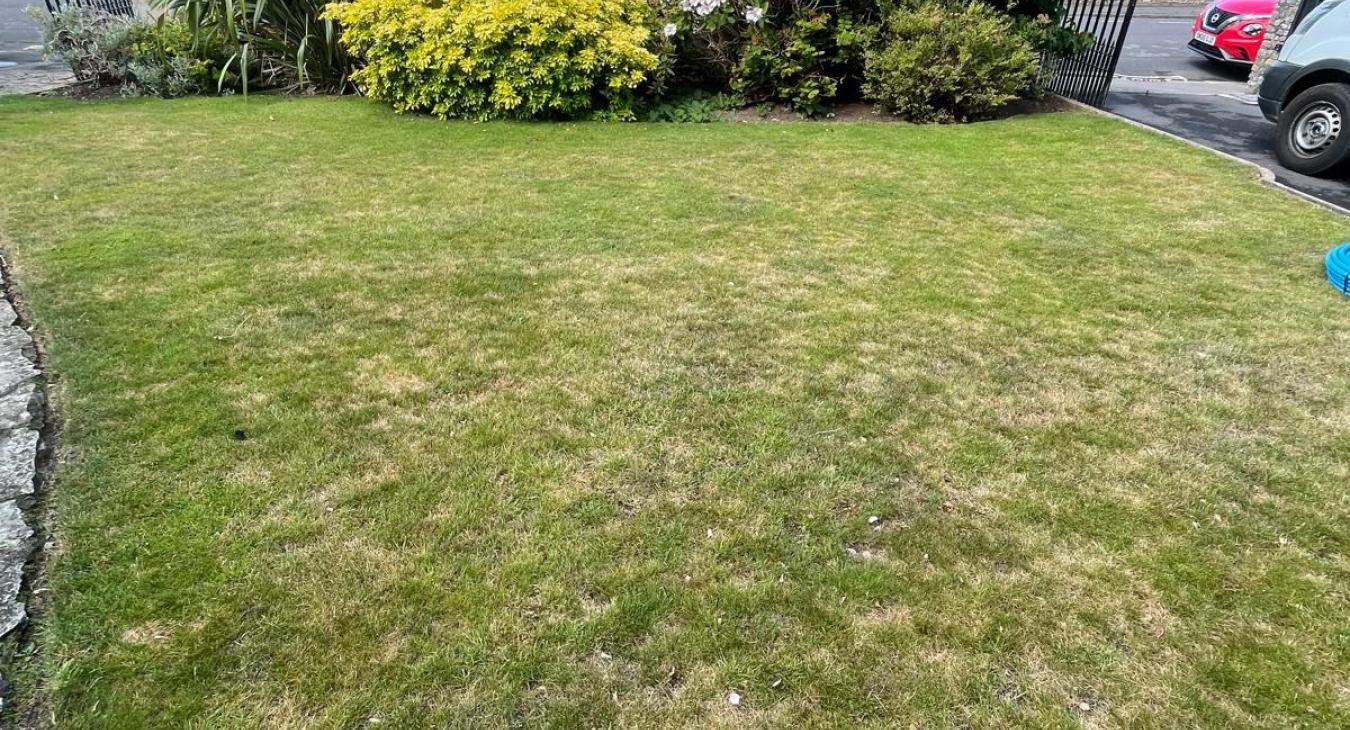 Lead Replacement, Clifton