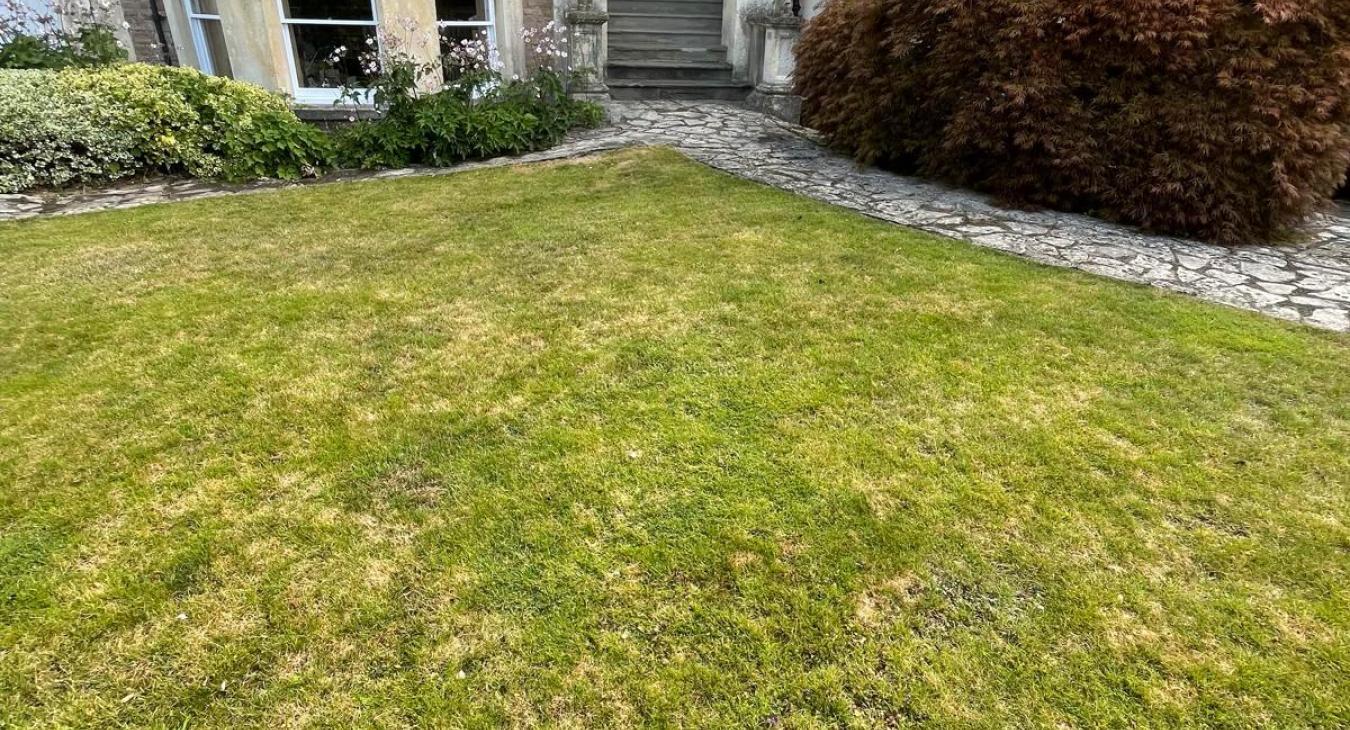 Lead Replacement, Clifton